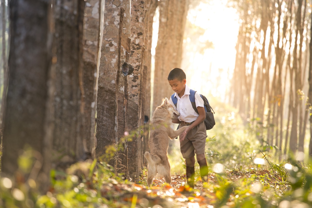 school, student, dog-2207392.jpg